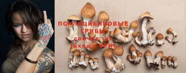 крисы Алексеевка