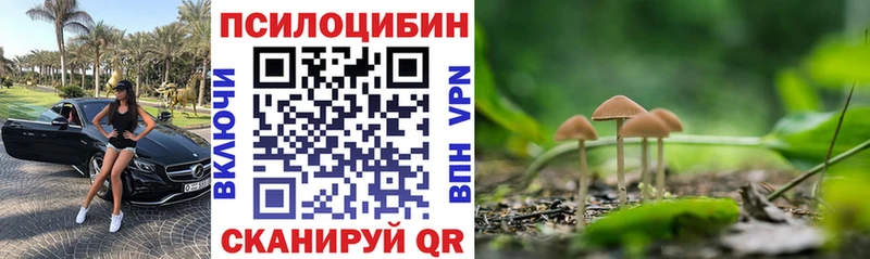 KRAKEN   Тобольск  Псилоцибиновые грибы Magic Shrooms 
